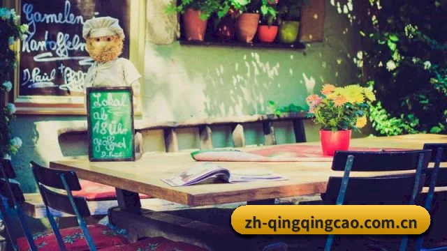 青青草网址 APP 界面